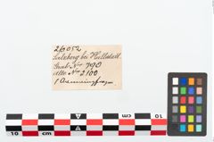 Etikett zu Bronzearmreif (NHMW-PRAE-026052)